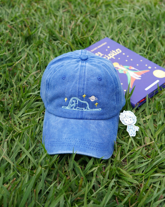 Le Petit Prince | Dad cap
