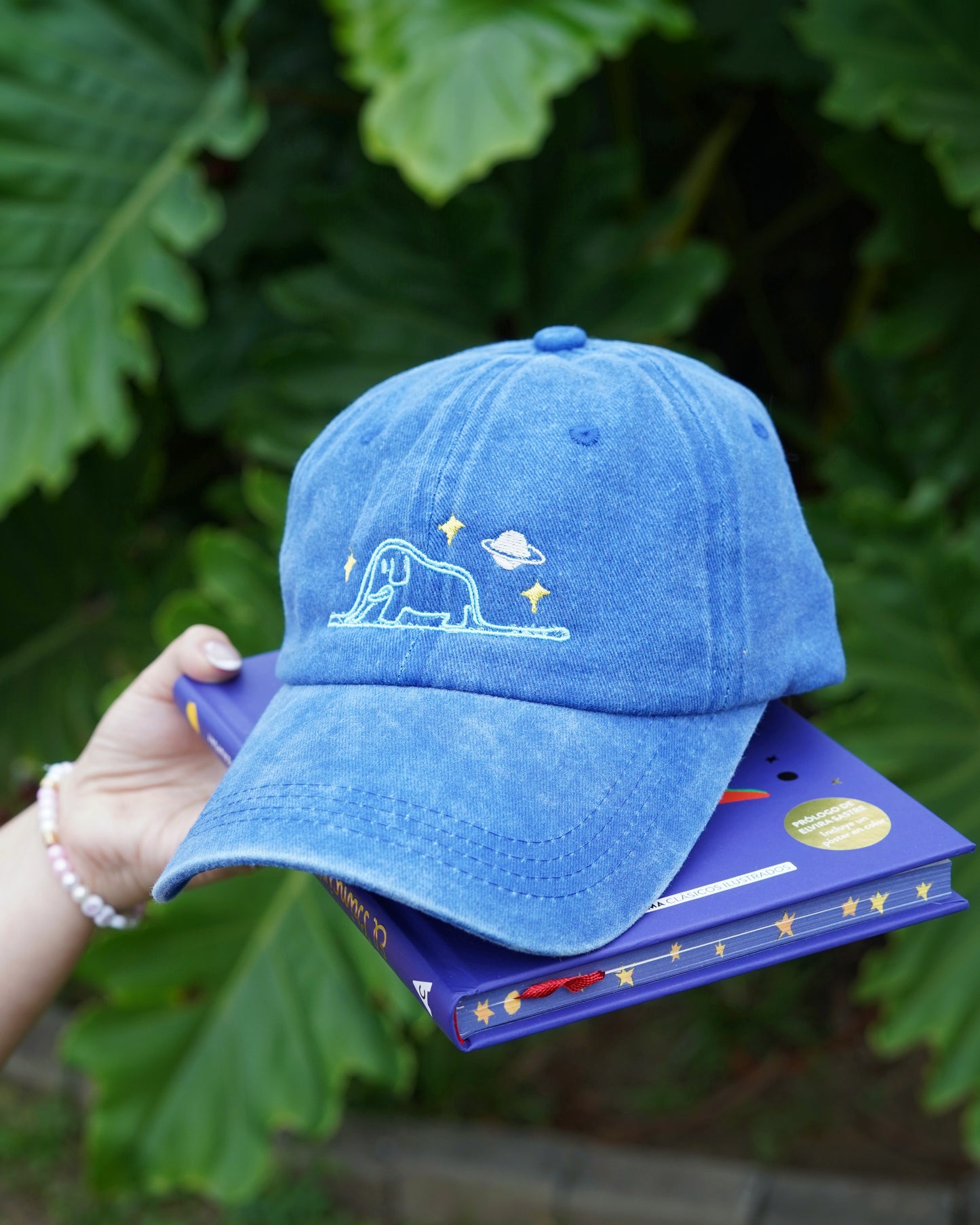 Capitulo I | Le petit Prince