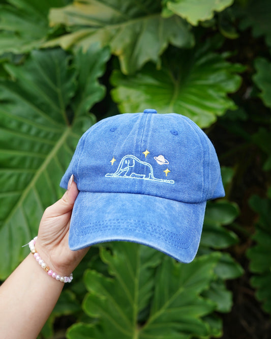 Le Petit Prince | Dad cap